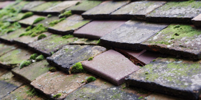 Wilcrick roof repair costs